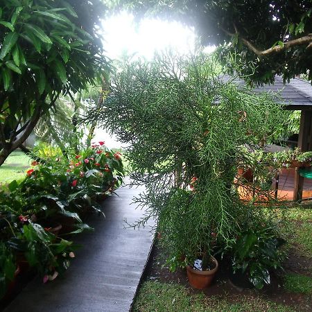 Les Agapanthes Villa Le Tampon Exteriör bild