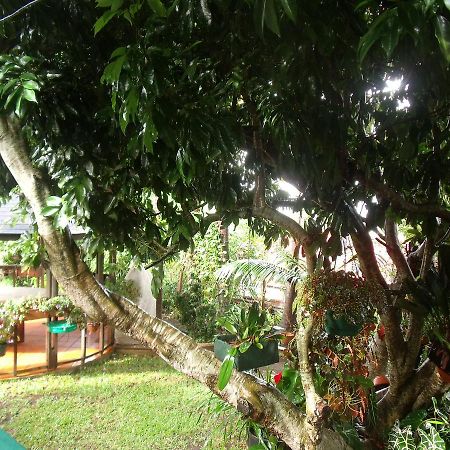 Les Agapanthes Villa Le Tampon Exteriör bild
