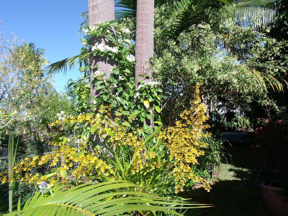Les Agapanthes Villa Le Tampon Exteriör bild