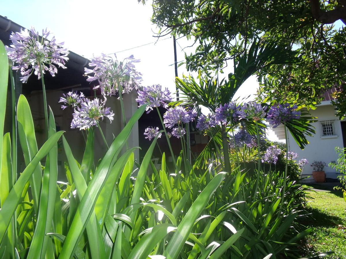 Les Agapanthes Villa Le Tampon Exteriör bild