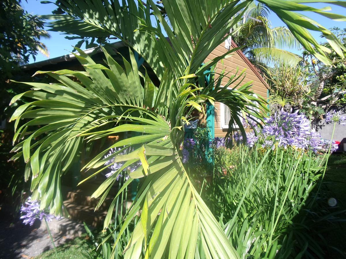 Les Agapanthes Villa Le Tampon Exteriör bild