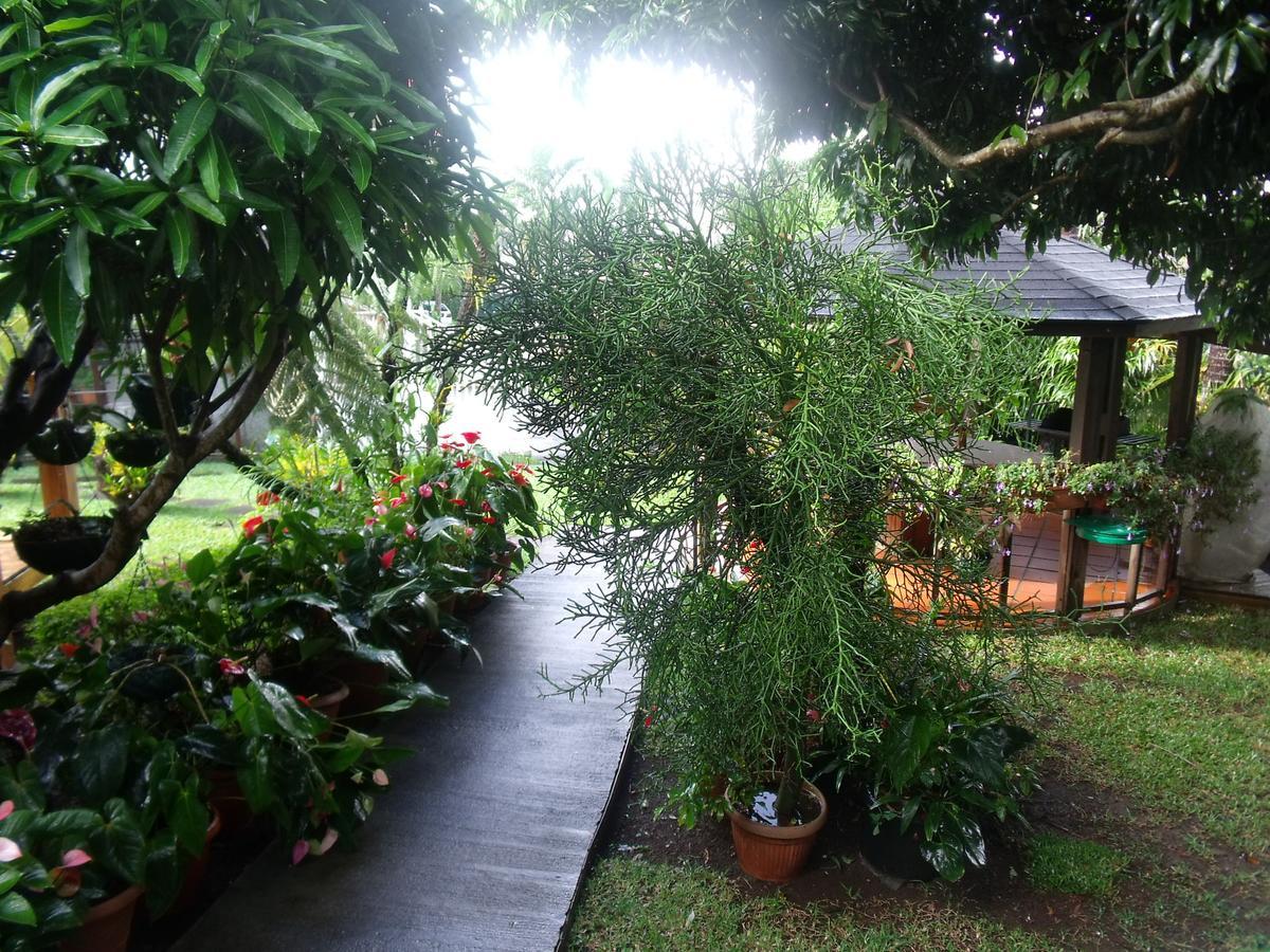 Les Agapanthes Villa Le Tampon Exteriör bild