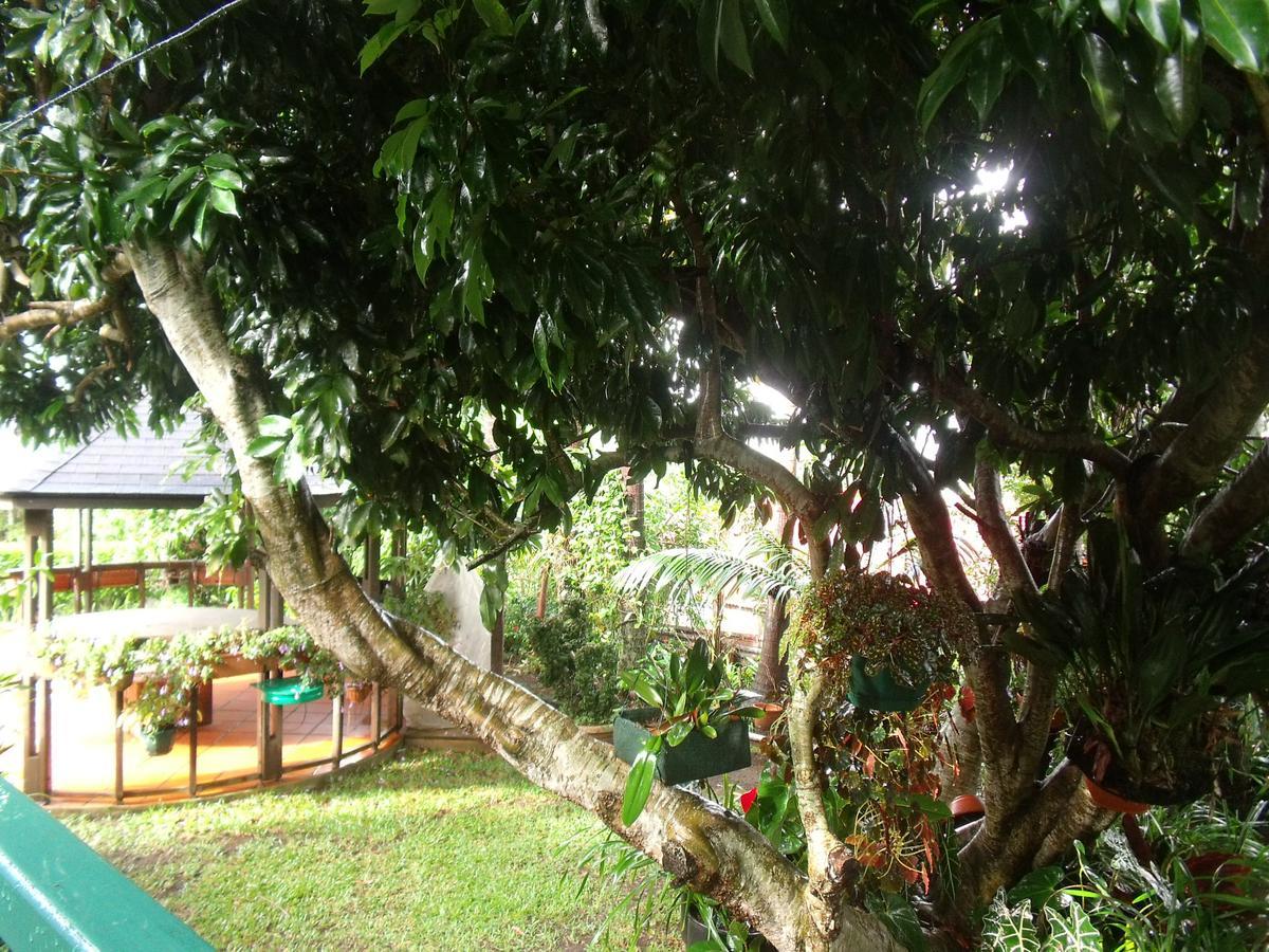 Les Agapanthes Villa Le Tampon Exteriör bild